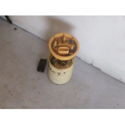 Pompa Carburante Volkswagen Polo 5 2015 1.4 TDI cod 6C0919050B - 6C0919050B - DS1-1785771833758